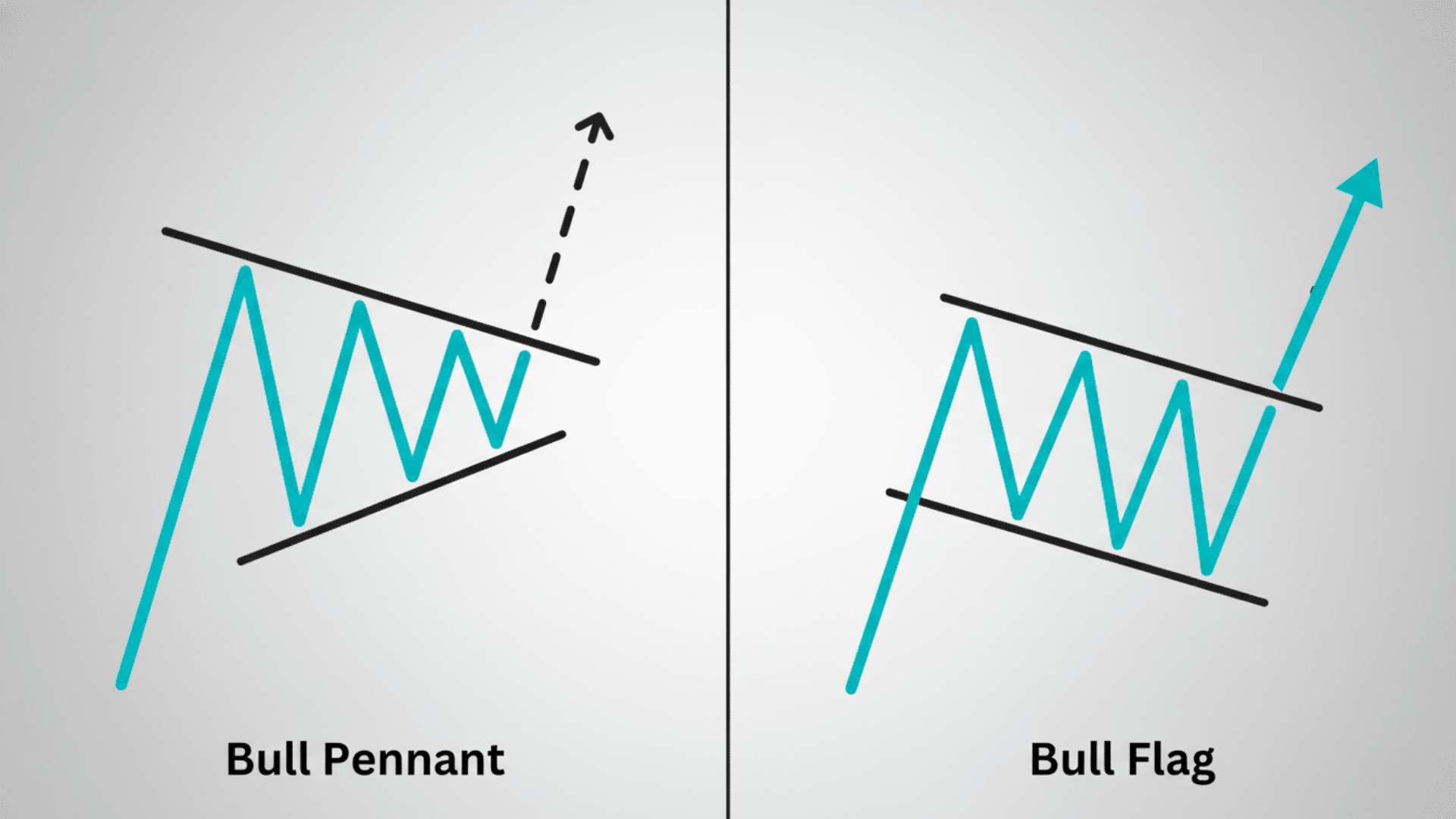 Bull Pennant vs Bull Flag