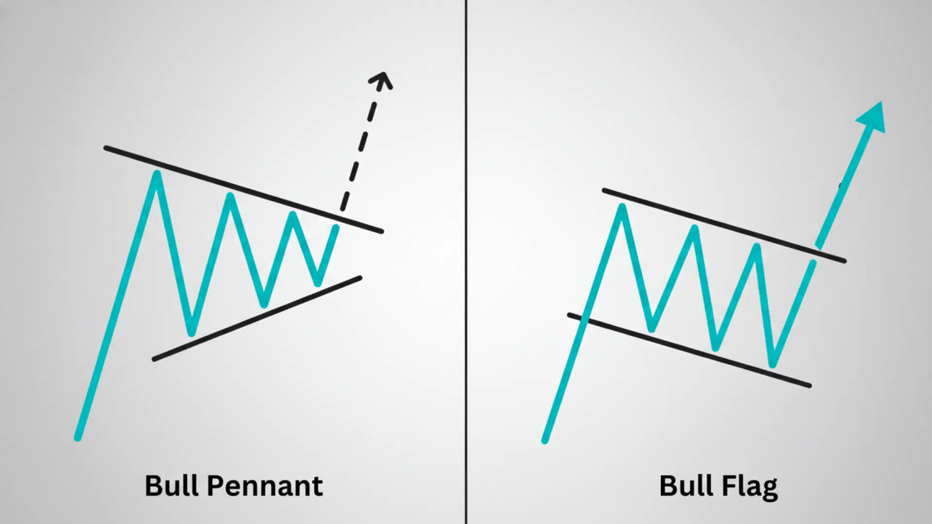 Bull Pennant vs Bull Flag