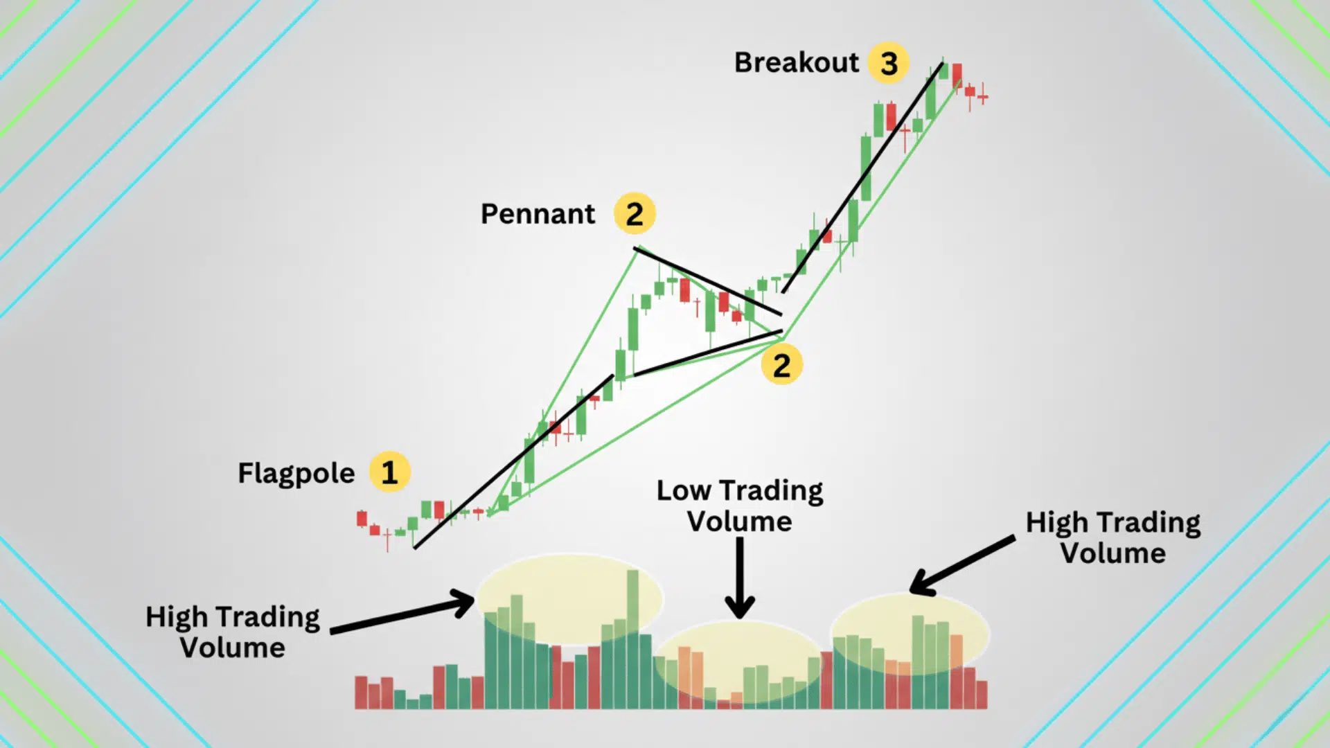 Structure of a Bull Pennant