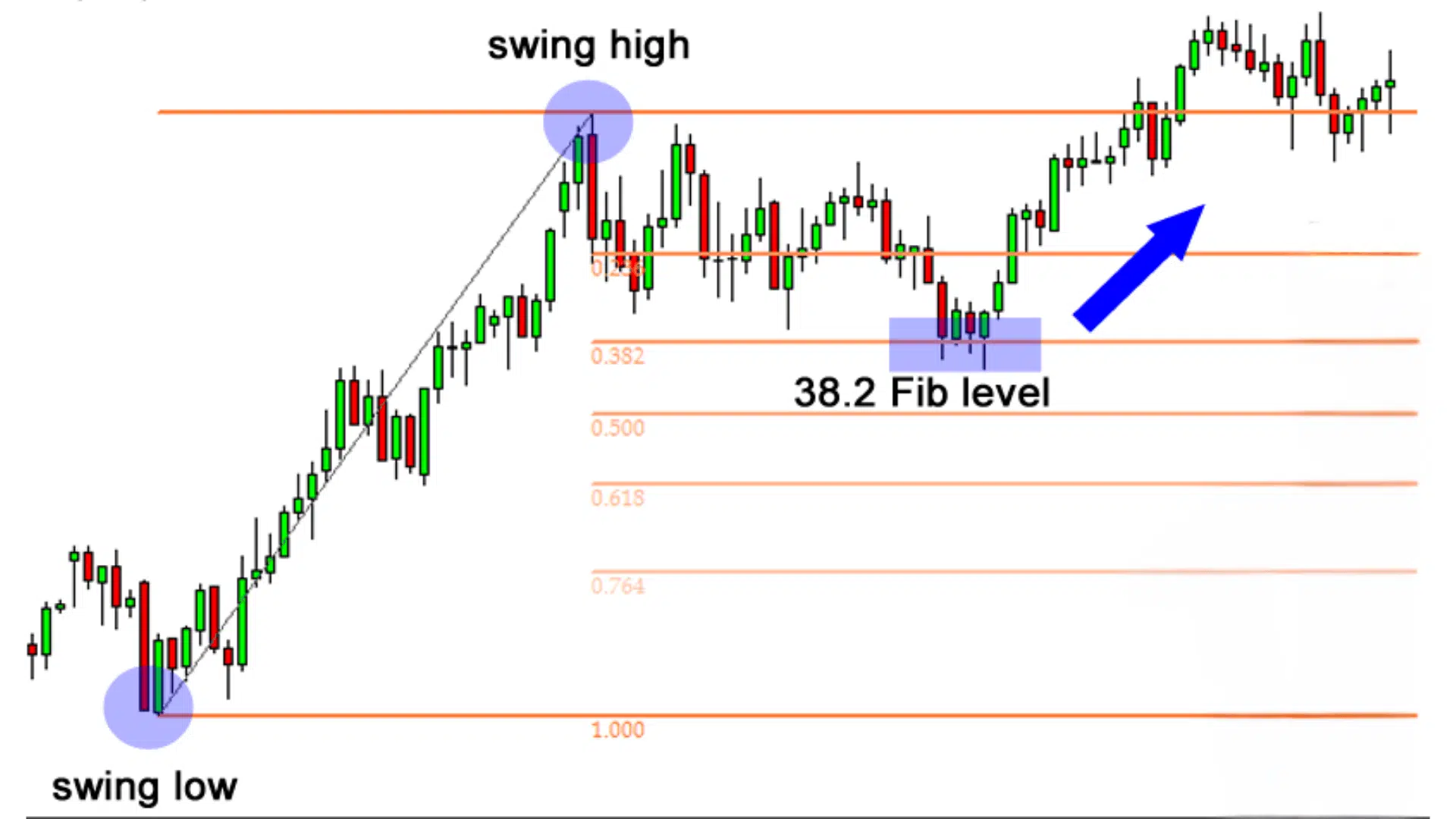 fib retracement
