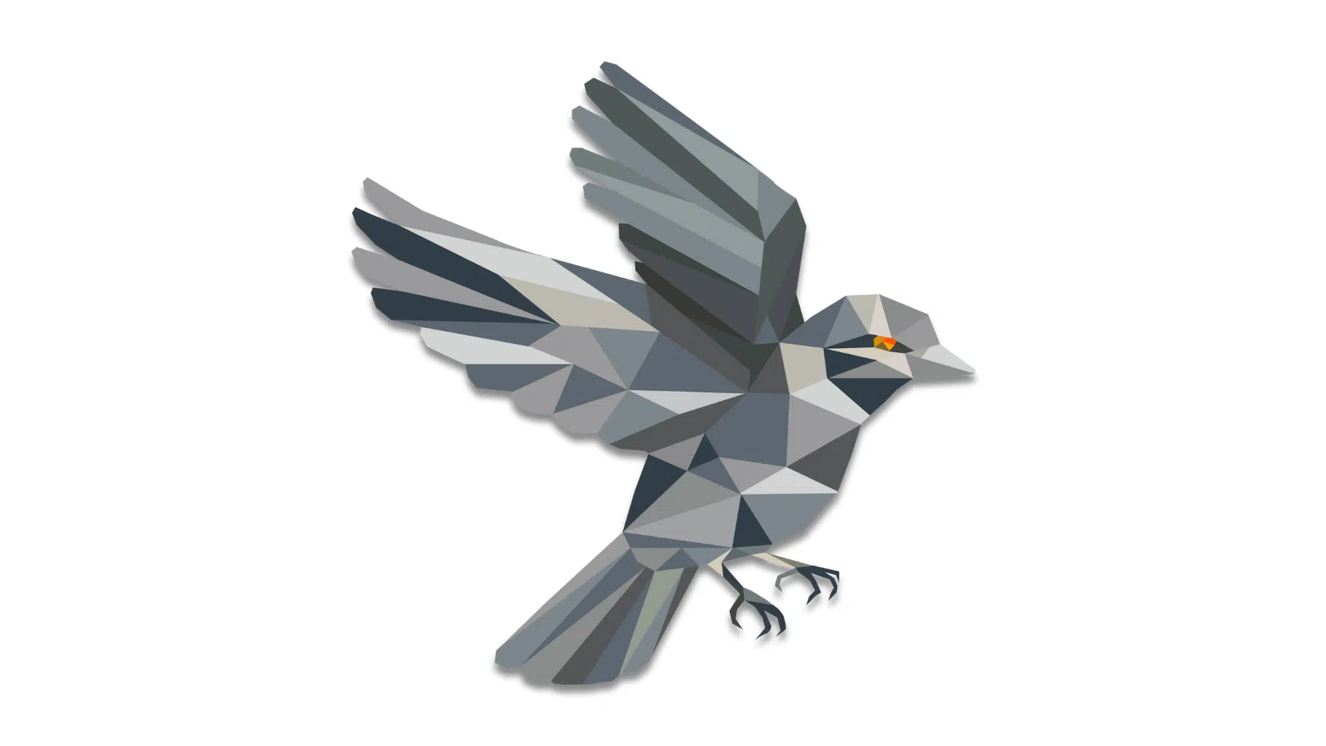 sparrow wallet